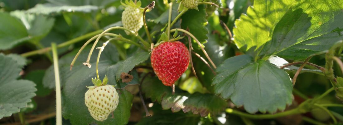 Fall Real Estate Kay Sorman