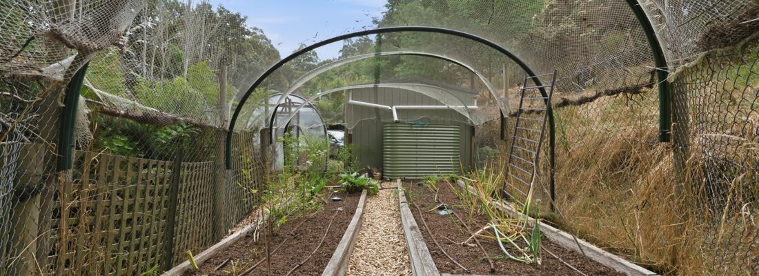 Fall Real Estate Naomi van Schie