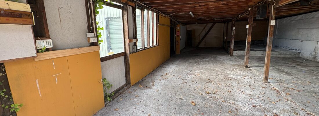 Elyse Lamprill Elyse Lamprill Fall Real Estate Elyse Lamprill