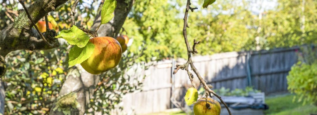 Kim Chandler-Storey Kim Chandler-Storey Fall Real Estate Kim Chandler-Storey