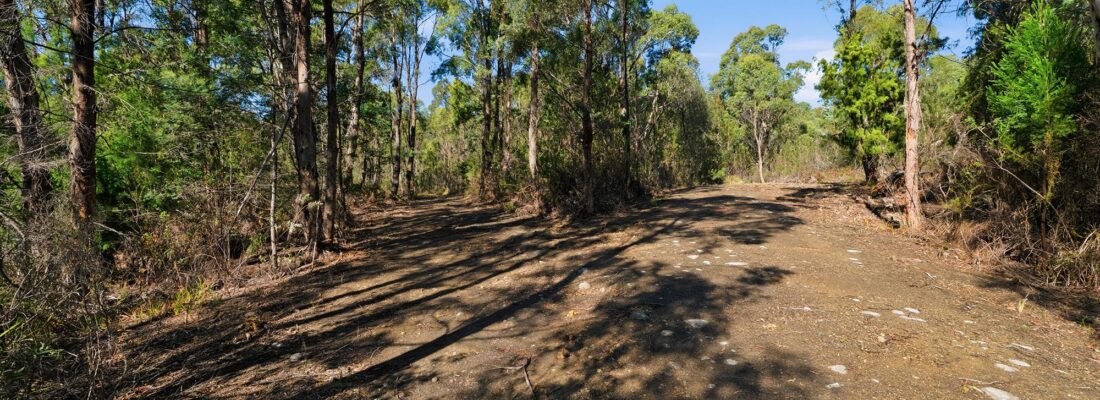 Suzanne Eaton suzanne eaton Fall Real Estate Suzanne Eaton