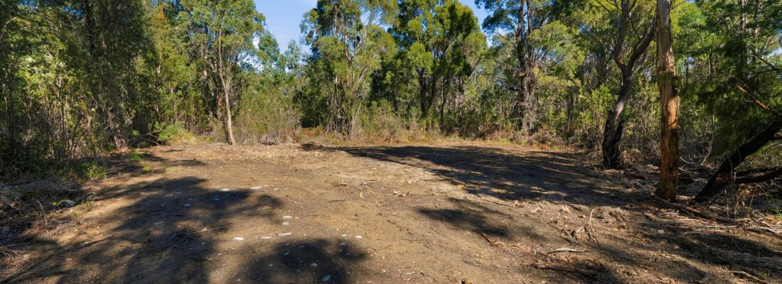 Suzanne Eaton suzanne eaton Fall Real Estate Suzanne Eaton