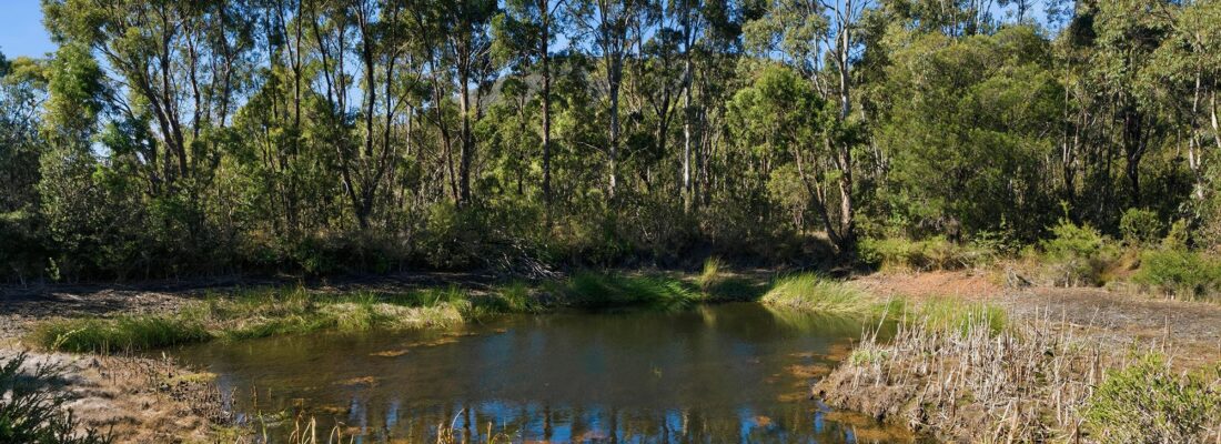 Suzanne Eaton suzanne eaton Fall Real Estate Suzanne Eaton