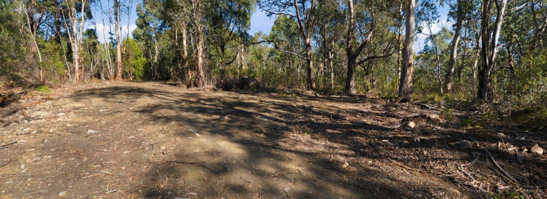 Fall Real Estate Suzanne Eaton