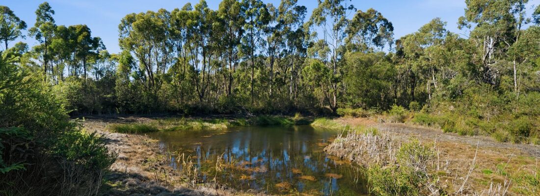 Fall Real Estate Suzanne Eaton