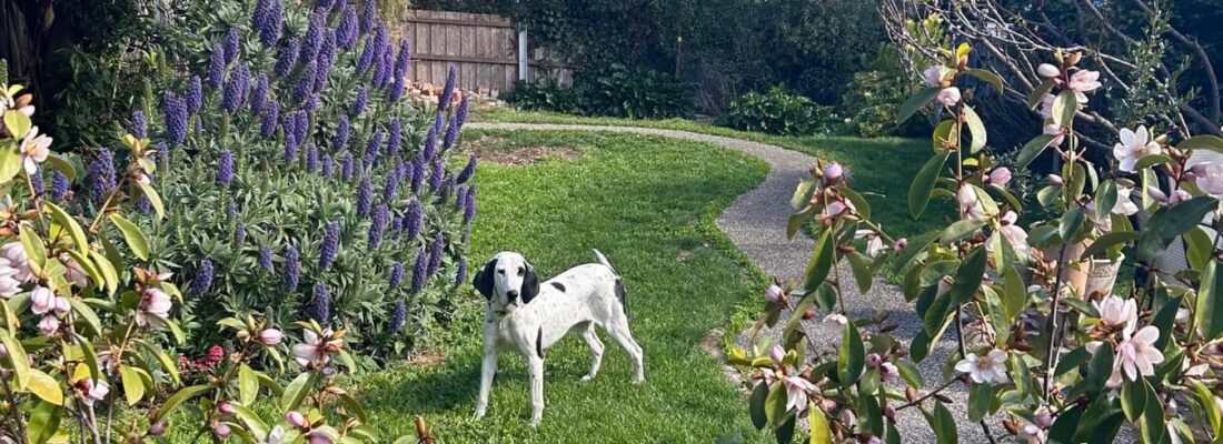 Josie Peletier Josie Peletier Fall Real Estate Josie Peletier