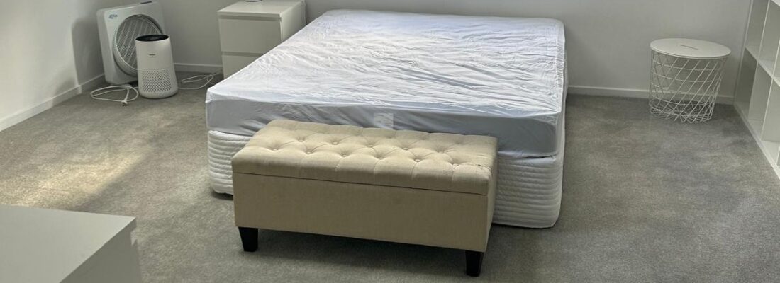 Josie Peletier Josie Peletier Fall Real Estate Josie Peletier