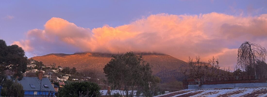 Fall Real Estate Josie Peletier