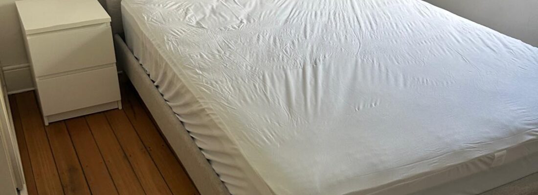 Josie Peletier Josie Peletier Fall Real Estate Josie Peletier