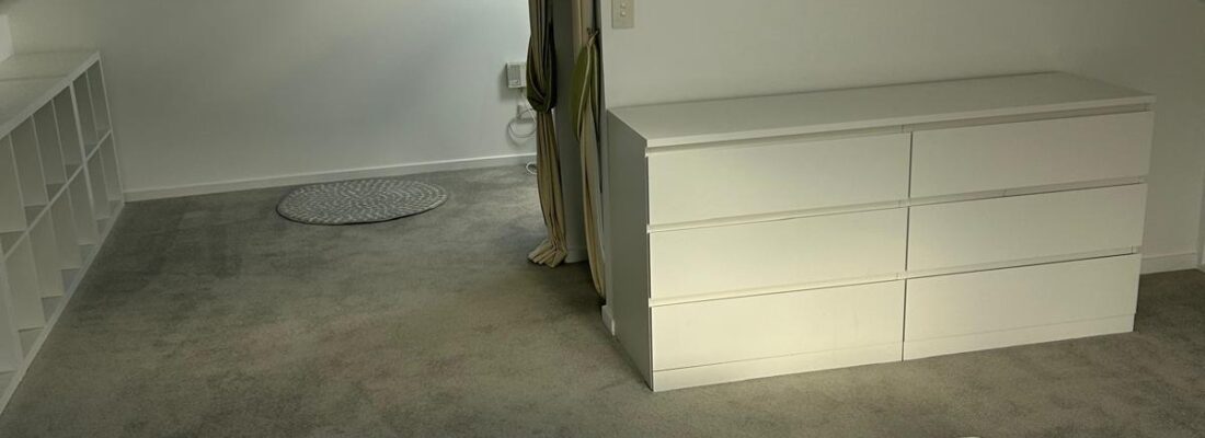 Josie Peletier Josie Peletier Fall Real Estate Josie Peletier