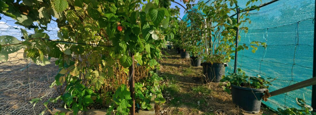 Kay Sorman Kay Sorman Fall Real Estate Kay Sorman