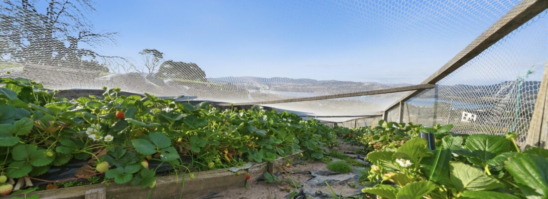 Fall Real Estate Kay Sorman