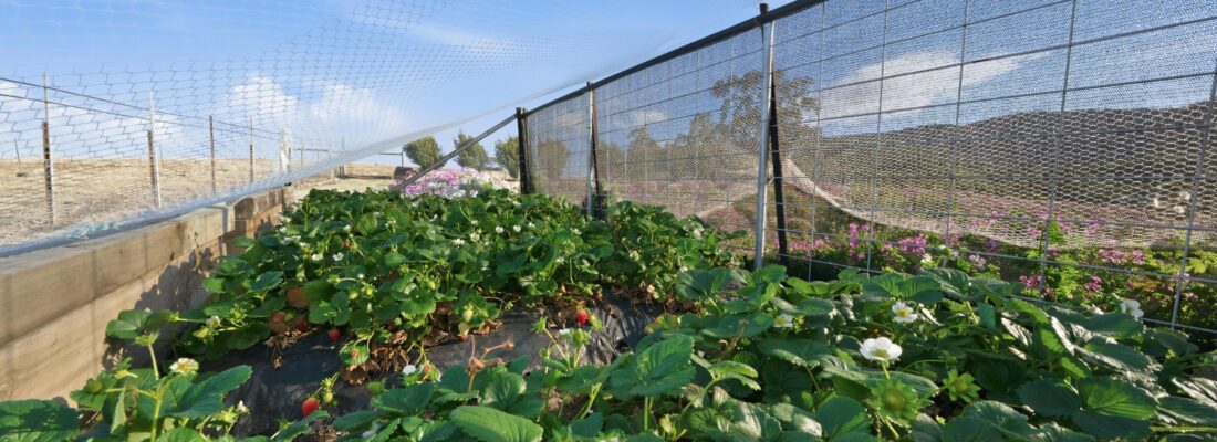 Kay Sorman Kay Sorman Fall Real Estate Kay Sorman