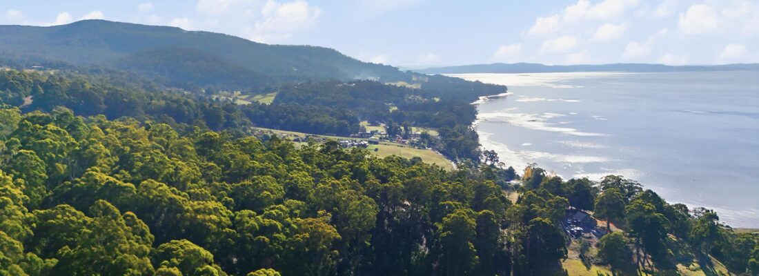 Naomi van Schie Naomi van Schie Fall Real Estate Naomi van Schie