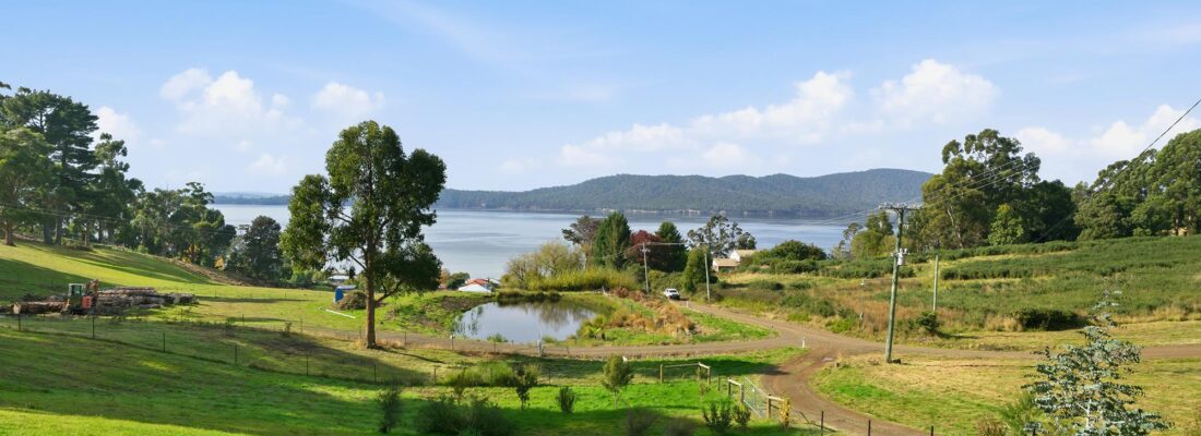 Naomi van Schie Naomi van Schie Fall Real Estate Naomi van Schie