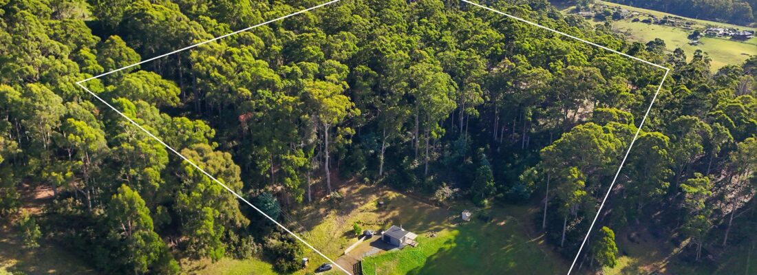 Naomi van Schie Naomi van Schie Fall Real Estate Naomi van Schie