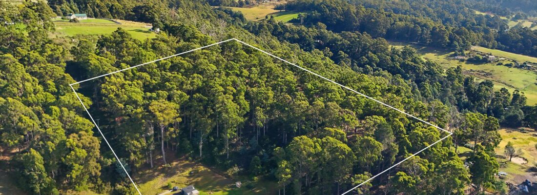 Naomi van Schie Naomi van Schie Fall Real Estate Naomi van Schie