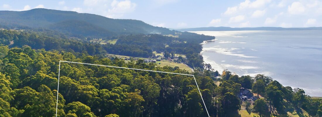 Fall Real Estate Greg Fall