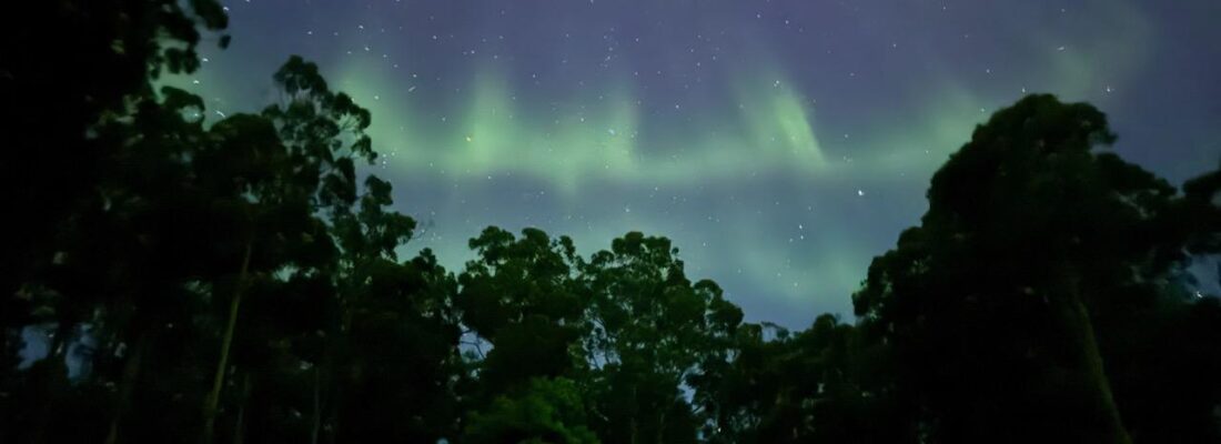 Fall Real Estate Greg Fall