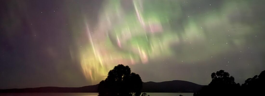 Fall Real Estate Greg Fall