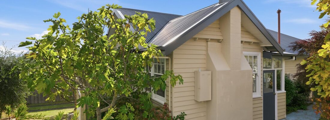 Jason Andrikonis Jason Andrikonis Fall Real Estate Jason Andrikonis