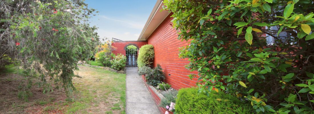 Ariel Dao Ariel Dao Fall Real Estate Ariel Dao