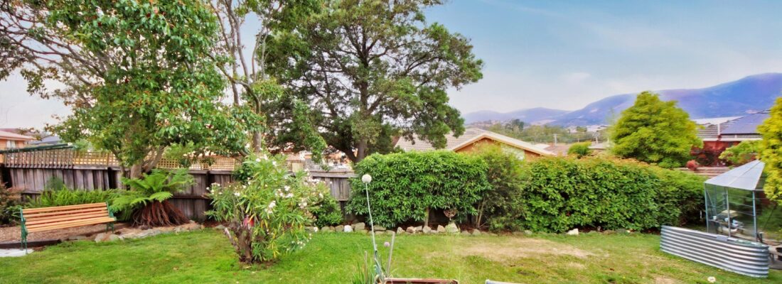 Ariel Dao Ariel Dao Fall Real Estate Ariel Dao