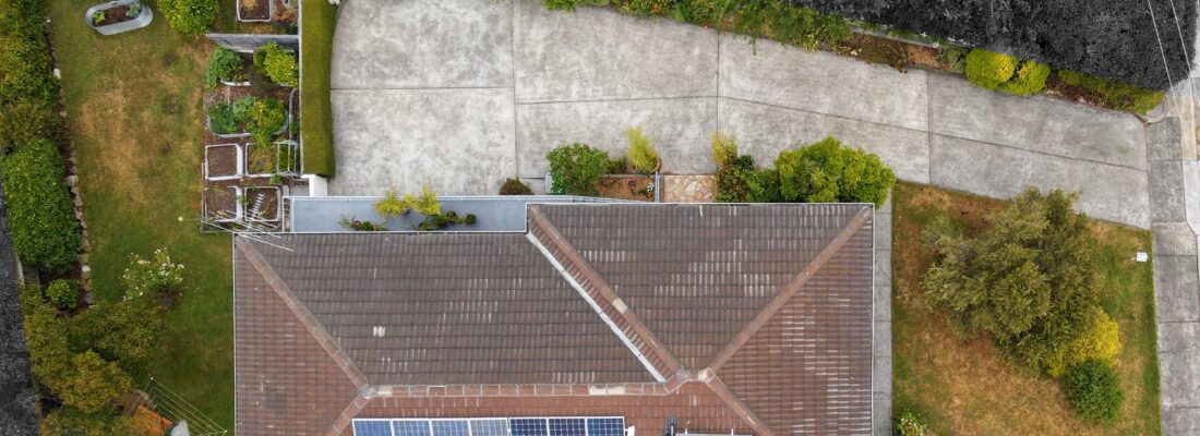 Ariel Dao Ariel Dao Fall Real Estate Ariel Dao