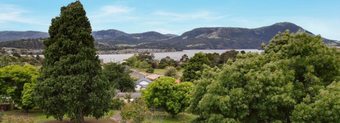 Ariel Dao Ariel Dao Fall Real Estate Ariel Dao