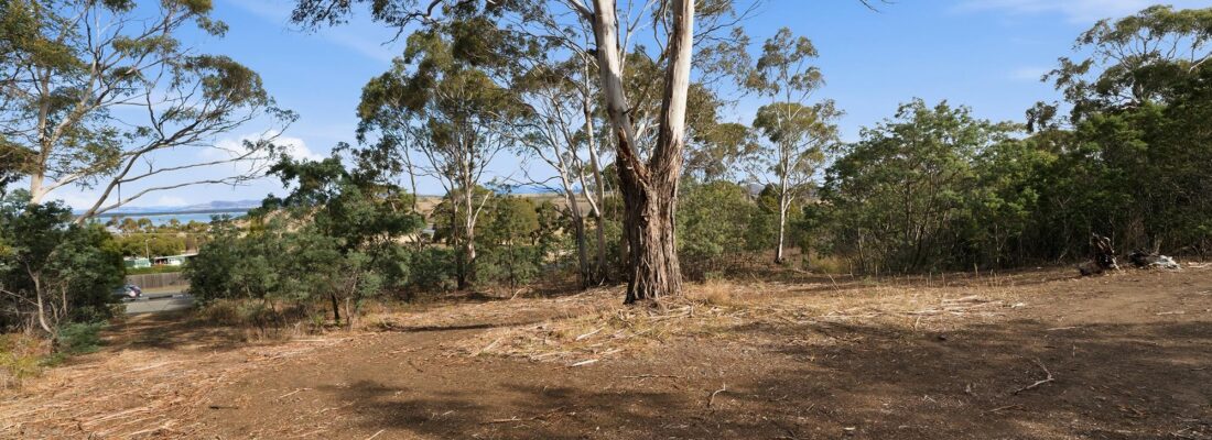 Deb Lawler Deb Lawler Fall Real Estate Deb Lawler