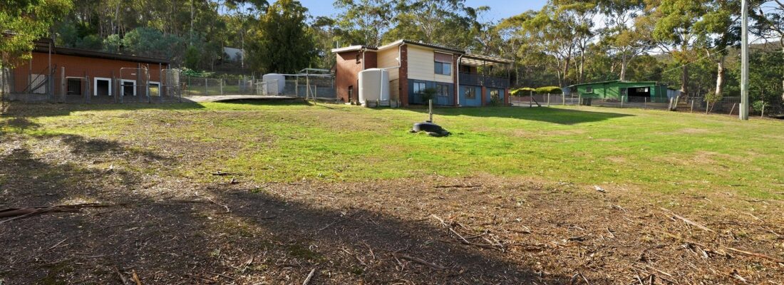 Fall Real Estate Deb Lawler