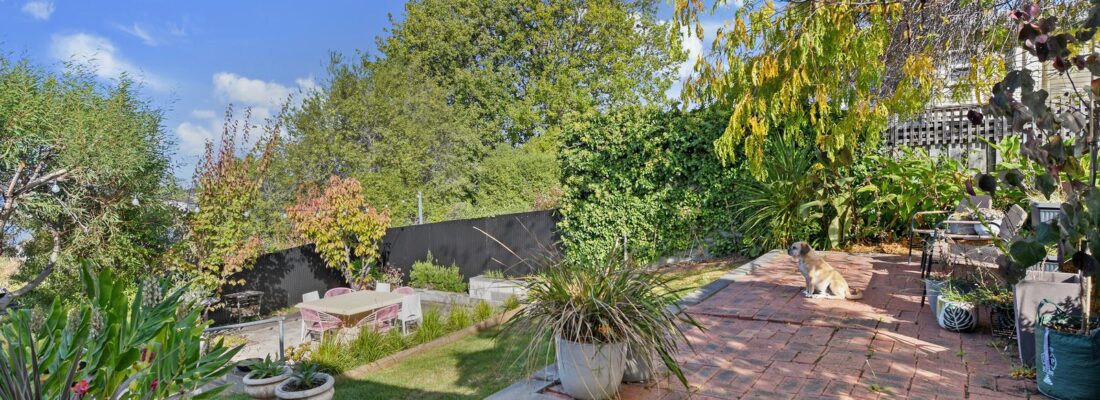 Fall Real Estate Daniela Lee-Archer