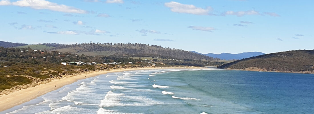 Fall Real Estate Rent